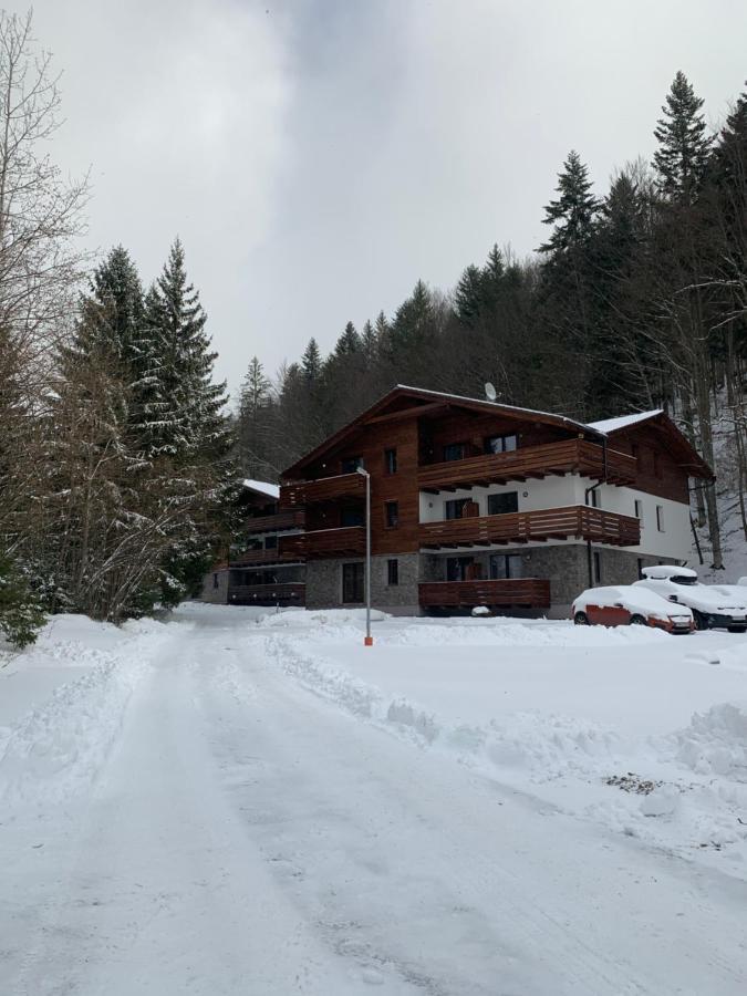 Lucnica Apartment *